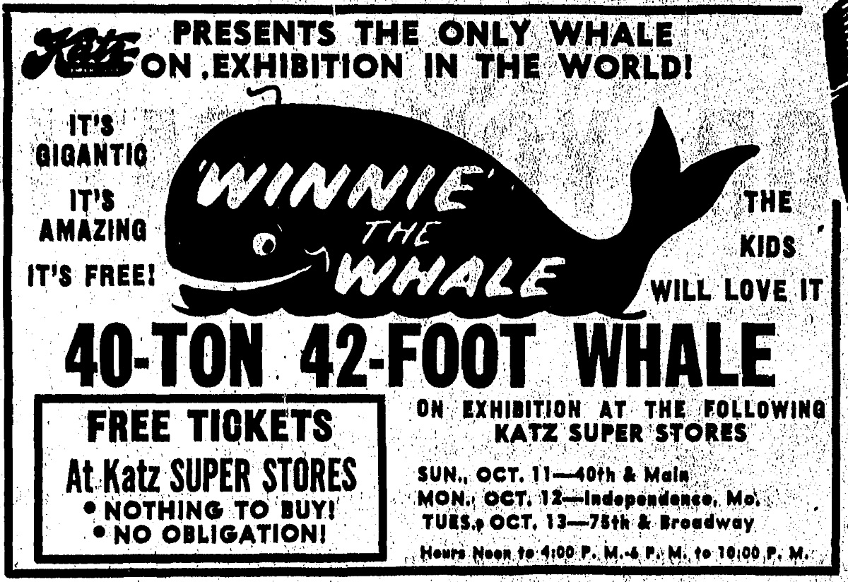 Newspaper advertisement for Winnie the whale, The Kansas City Times, October 11, 1953.
