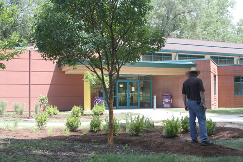 Rain Garden at Ruiz