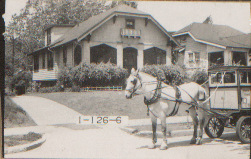 a horse and carriage