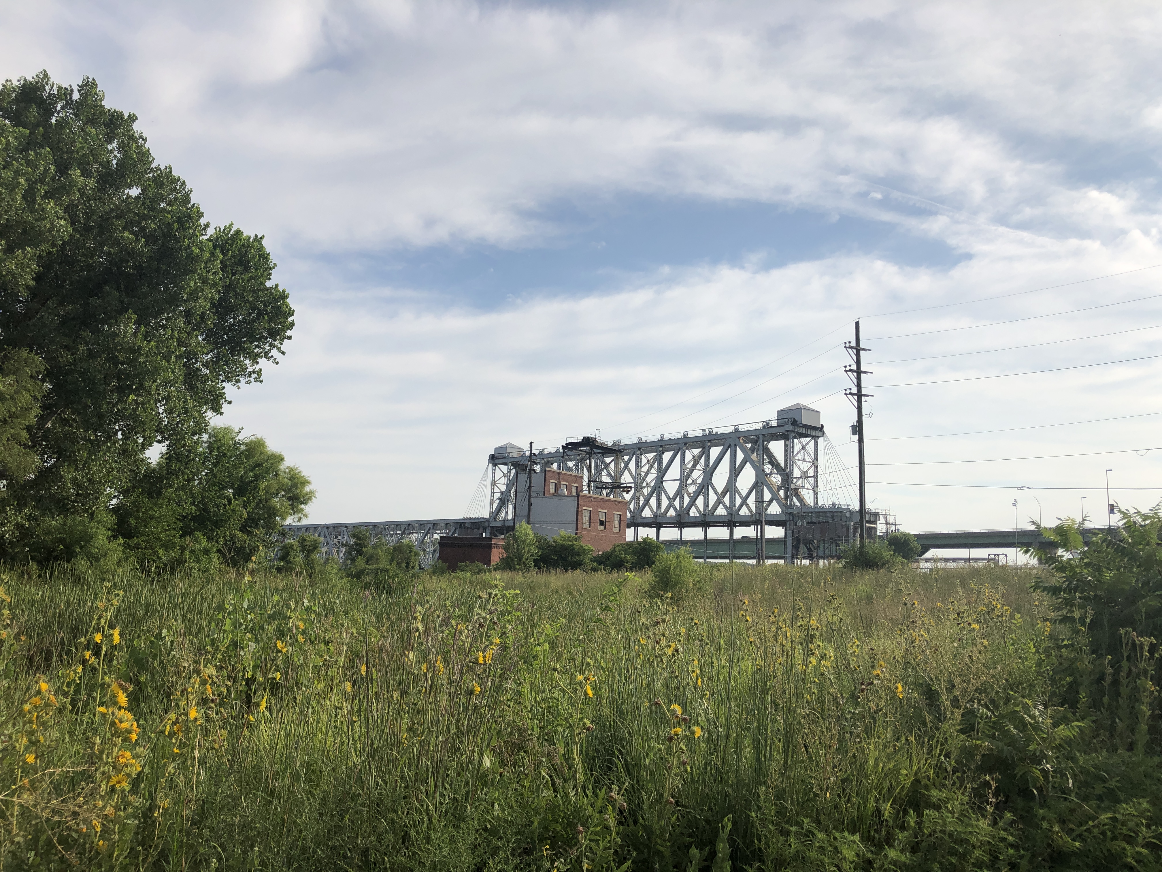 Wetland restoration project area with the ASB Bridge in the background