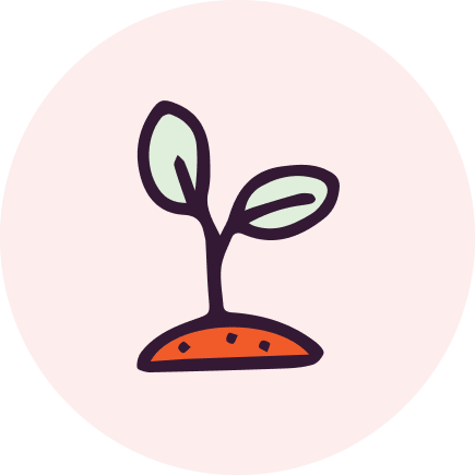 illustration of sapling