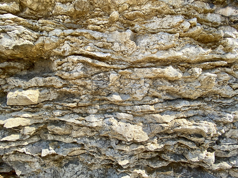 Closeup of Argentine Limestone exposed along Grand Boulevard. Michael Wells