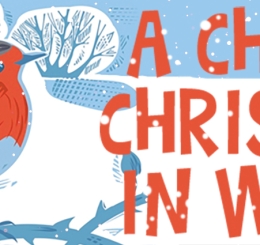 illustration of robin