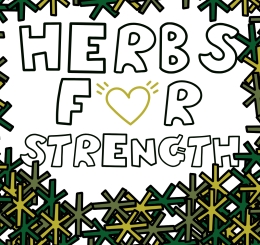 illustrations of herbs