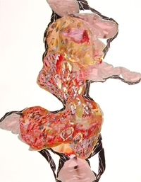 <em>Guardian</em> by Anne Austin Pearce, 2011. Ink, acrylic, and colored pencil.