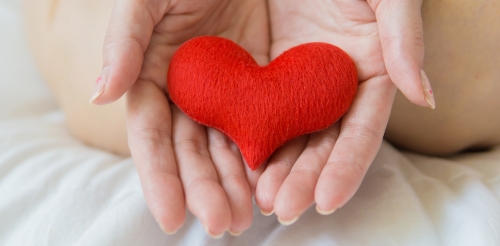 hands hold felt heart