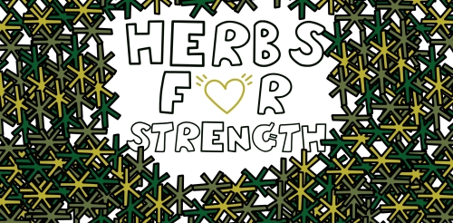 illustrations of herbs